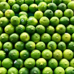 Meet your Posher, Ronny